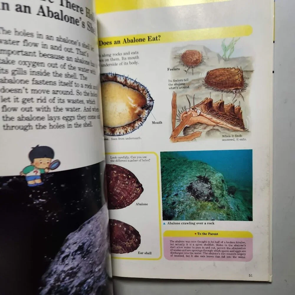 Life in the Water Child's First Library of Learning Science Stem Book Homeschool